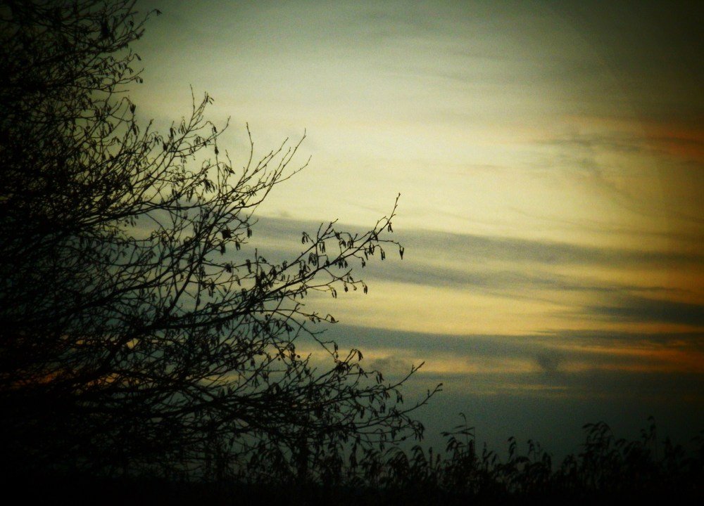 Фотография автора Irina Mihailovskaya