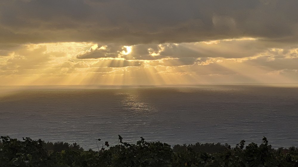 Photograph by Vladimir