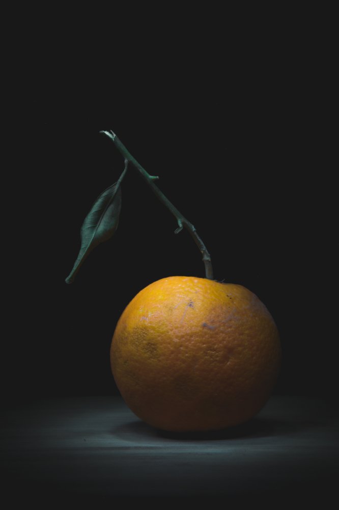 Photograph by Pablo D\'Andrea