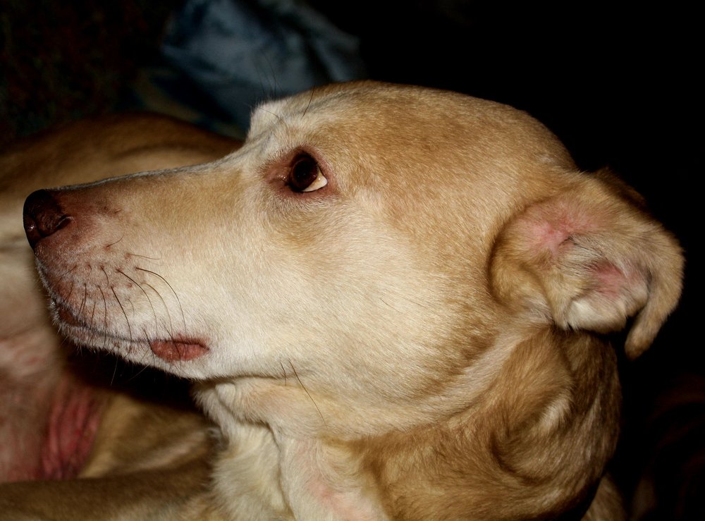 Фотография автора Сергей Рапопорт