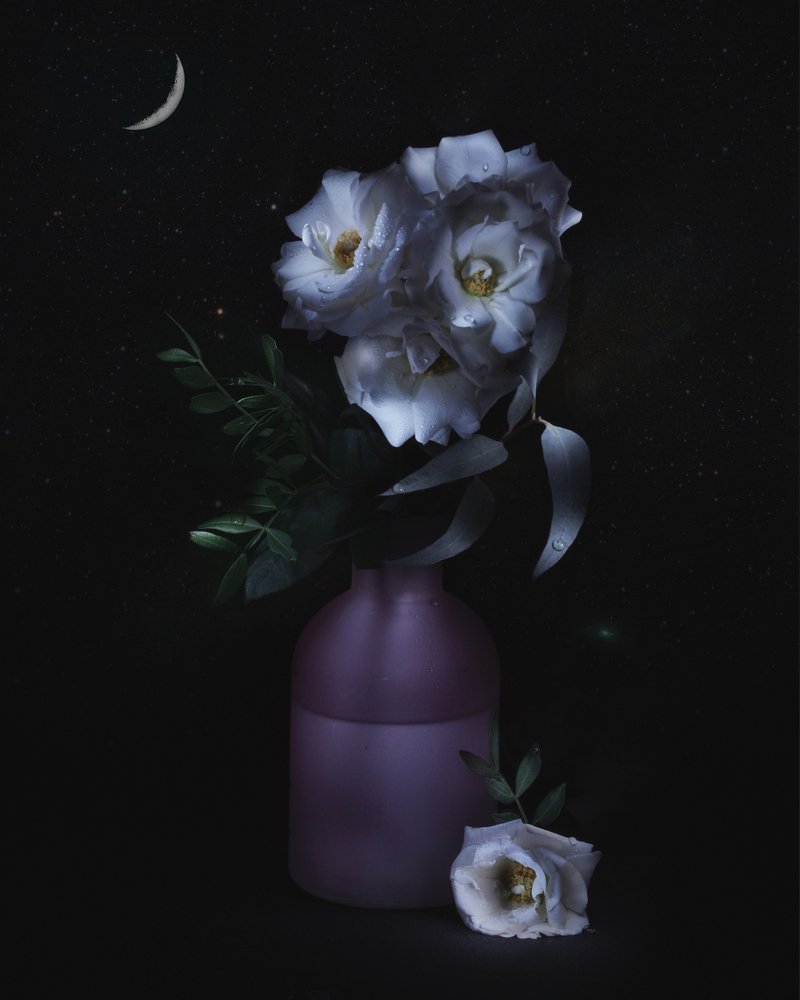 Photograph by Леся Костарева