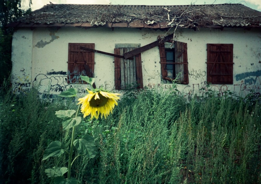 Photograph by Иван Домарацкий