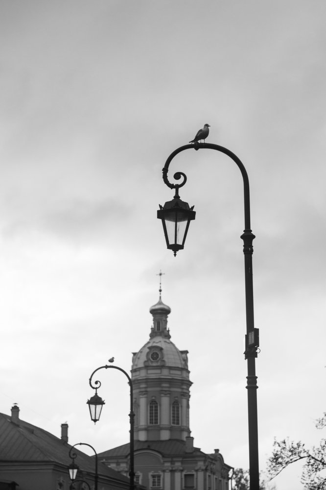 Photograph by Татьяна