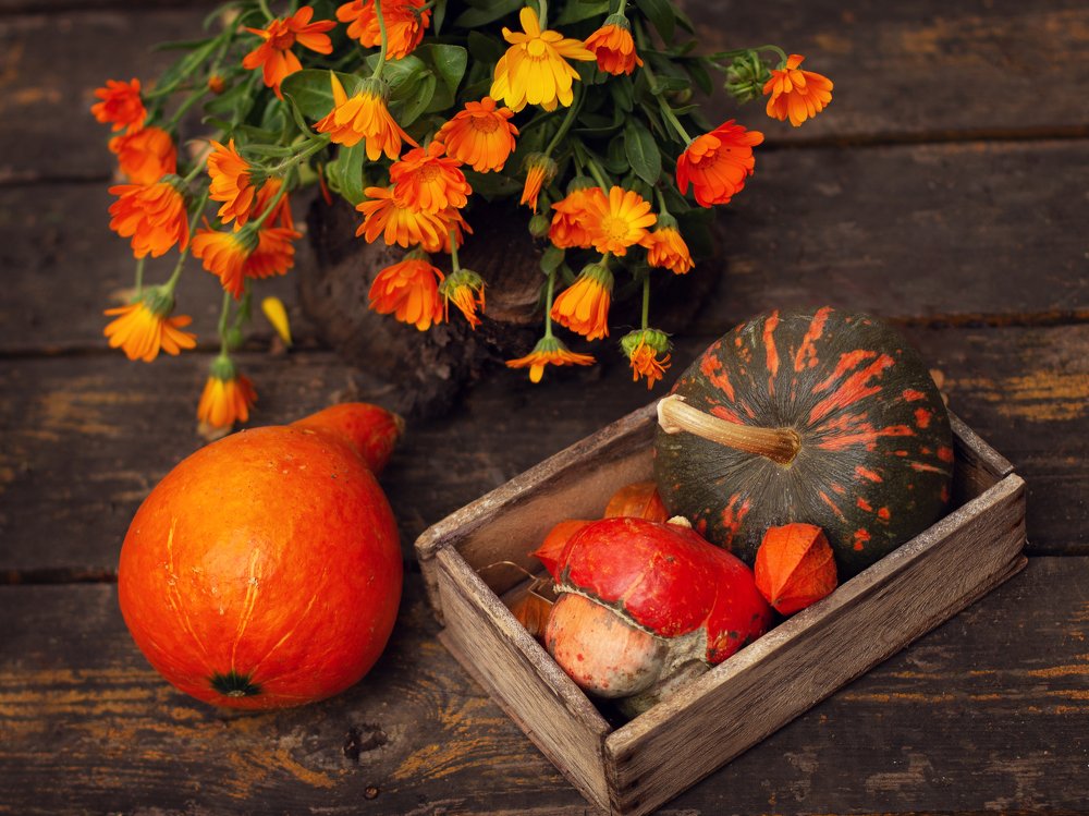 Фотография автора Маликова Марина