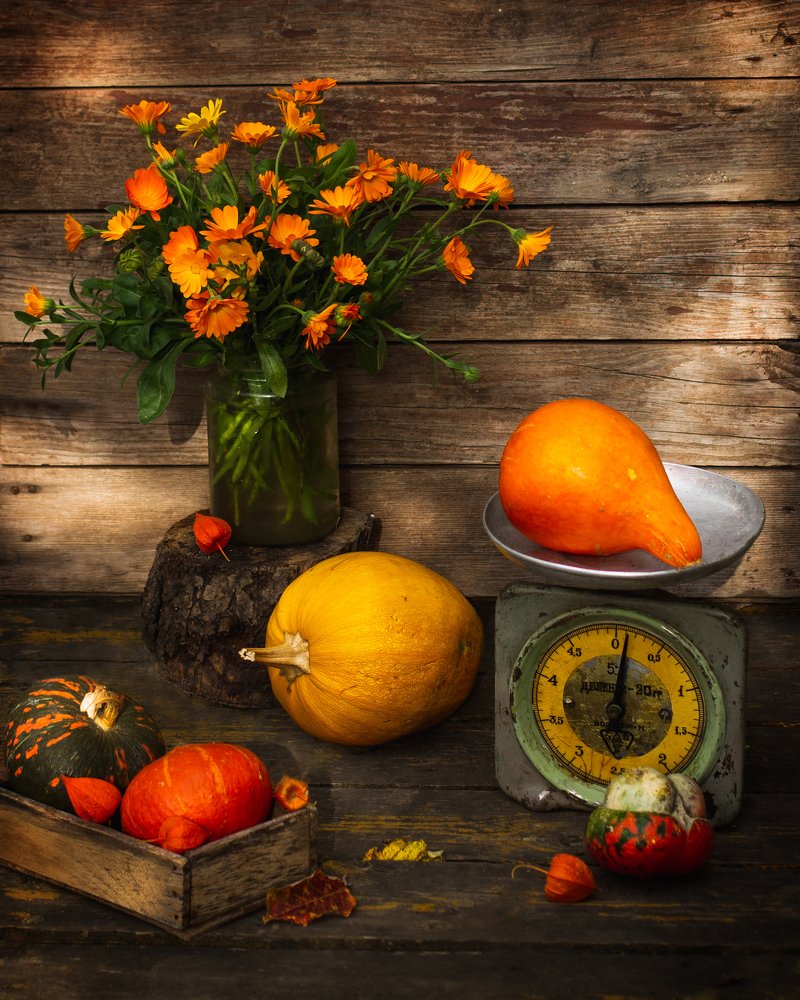 Фотография автора Маликова Марина