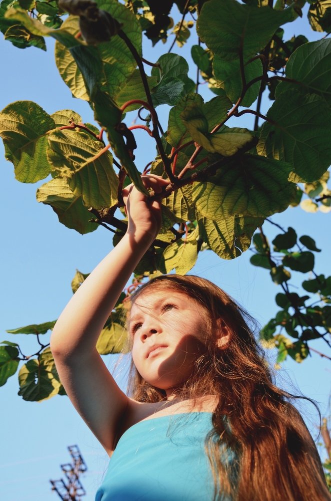 Photograph by Тасо Шанава