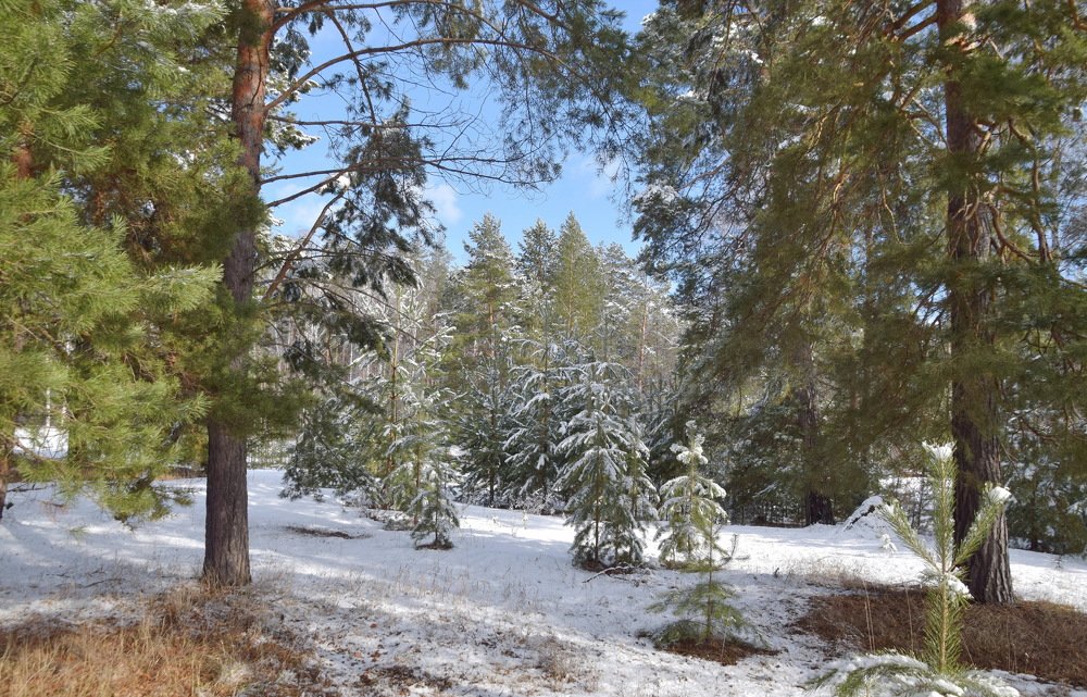 Photograph by Василий Быстрицкий