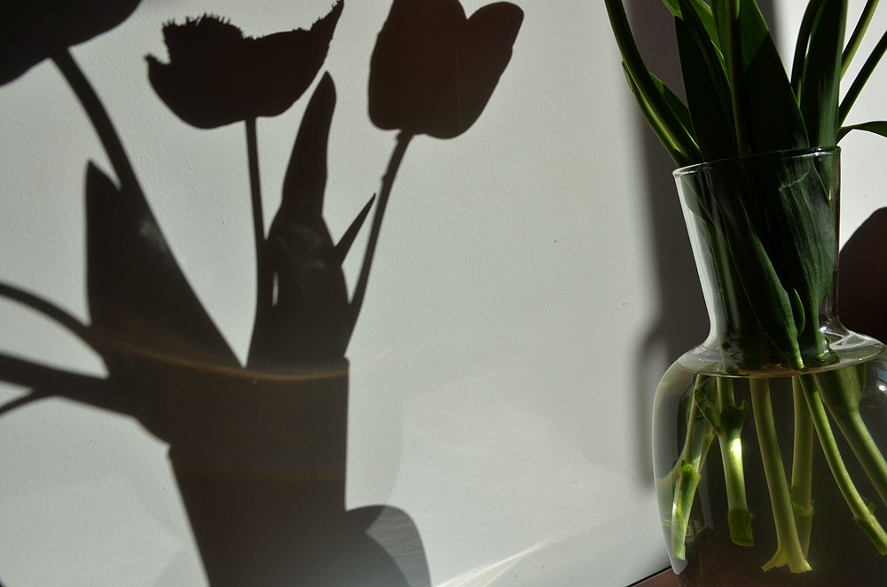 Photograph by Ирина Литичевская