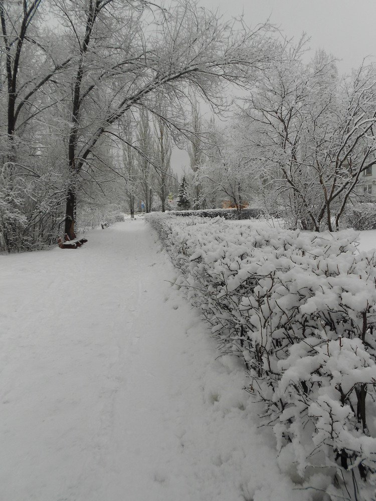 Фотография автора Любовь Панфилова