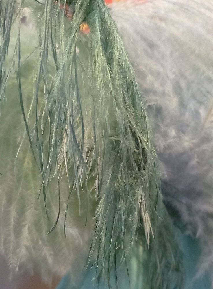 Ваниль с привкусом дорблю