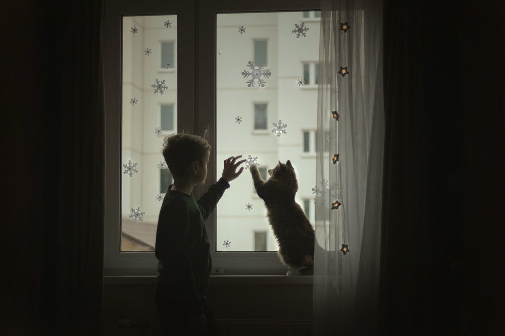 Photograph by Мария Градович