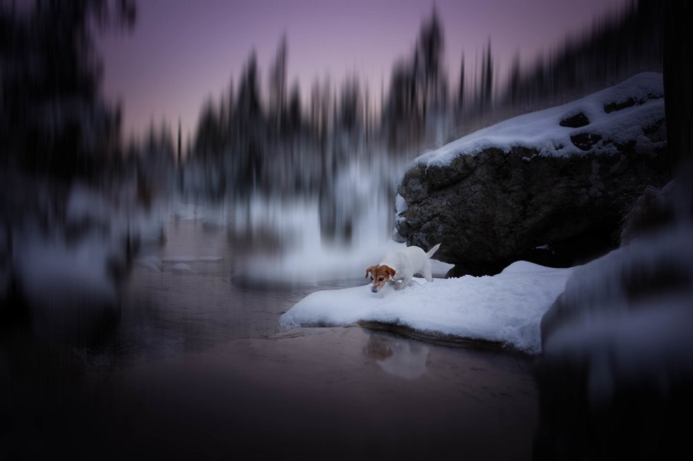 Photograph by Dorota Horváthová