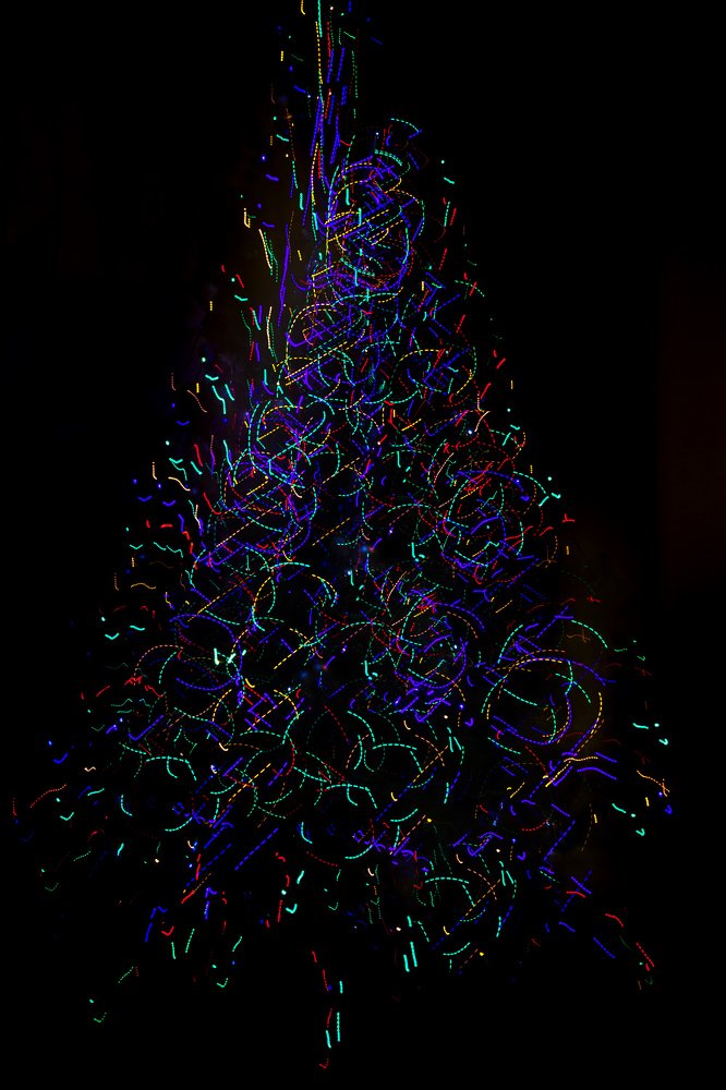 Ёлочка, гори!