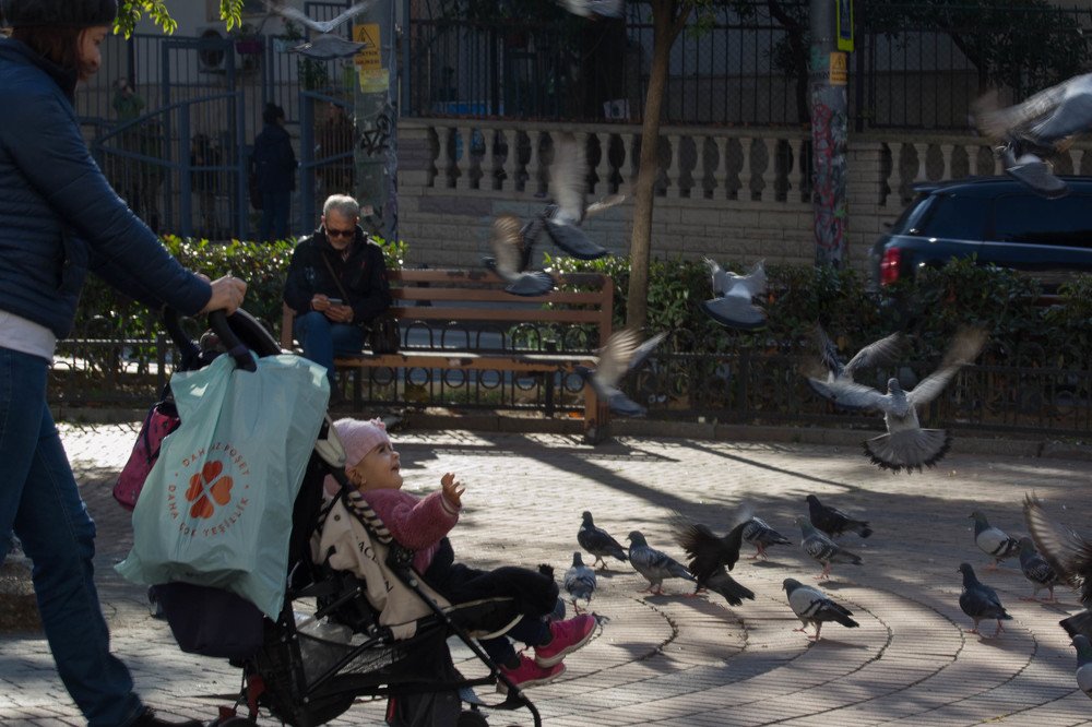 Photograph by shadi Alibolandi