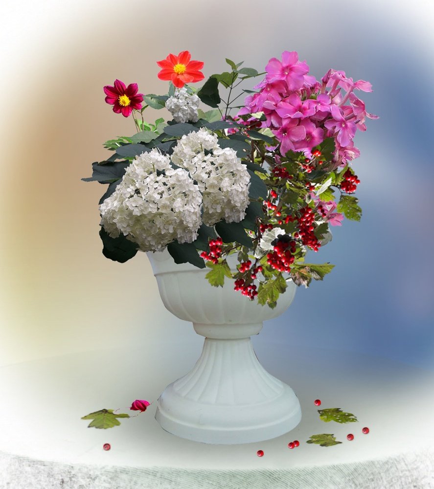 Photograph by Сергей Шаповалов