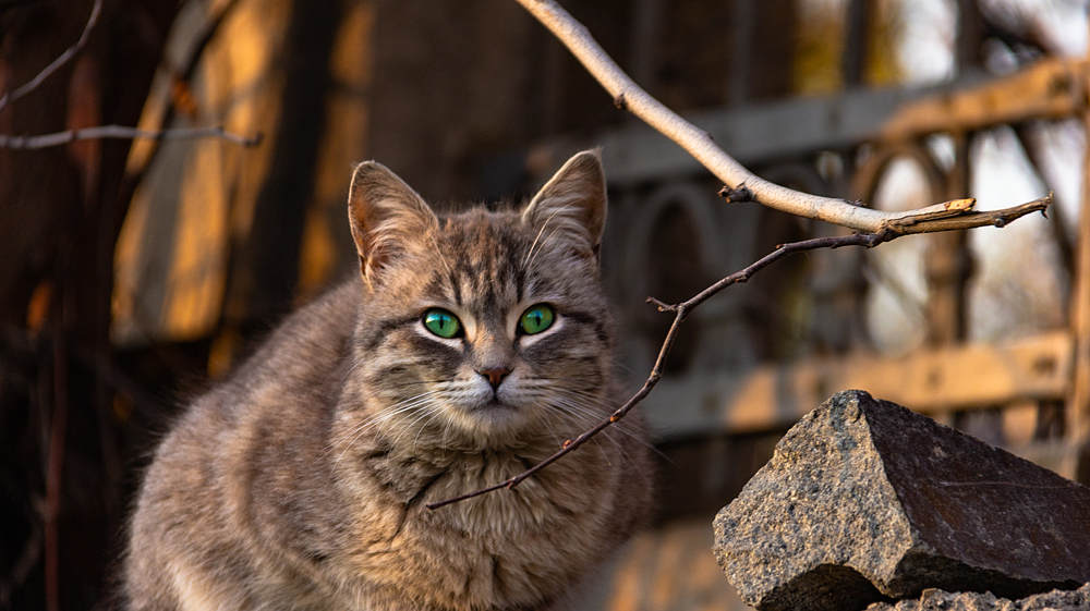 Photograph by Марат Юнусов