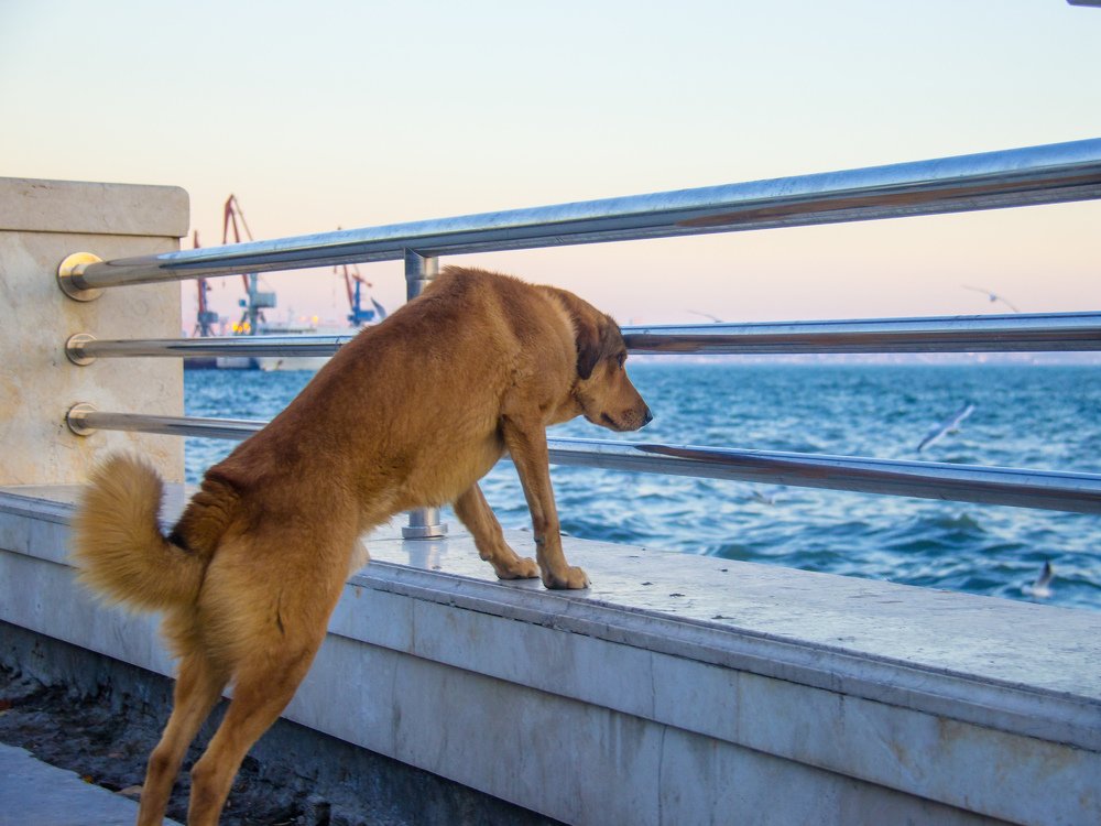 Photograph by Марат Юнусов