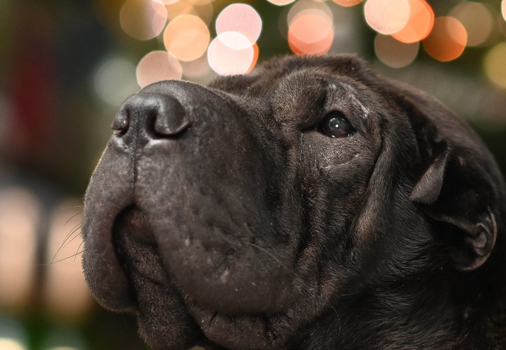 Photograph by YURI GARNAGA