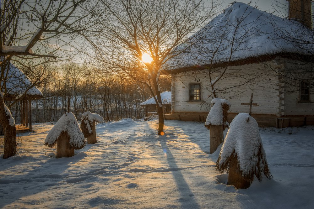 Фотография автора Анна Пикаленко