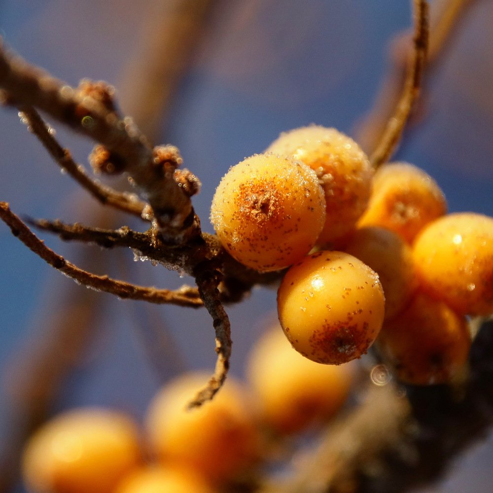 Photograph by Дмитрий Федотов