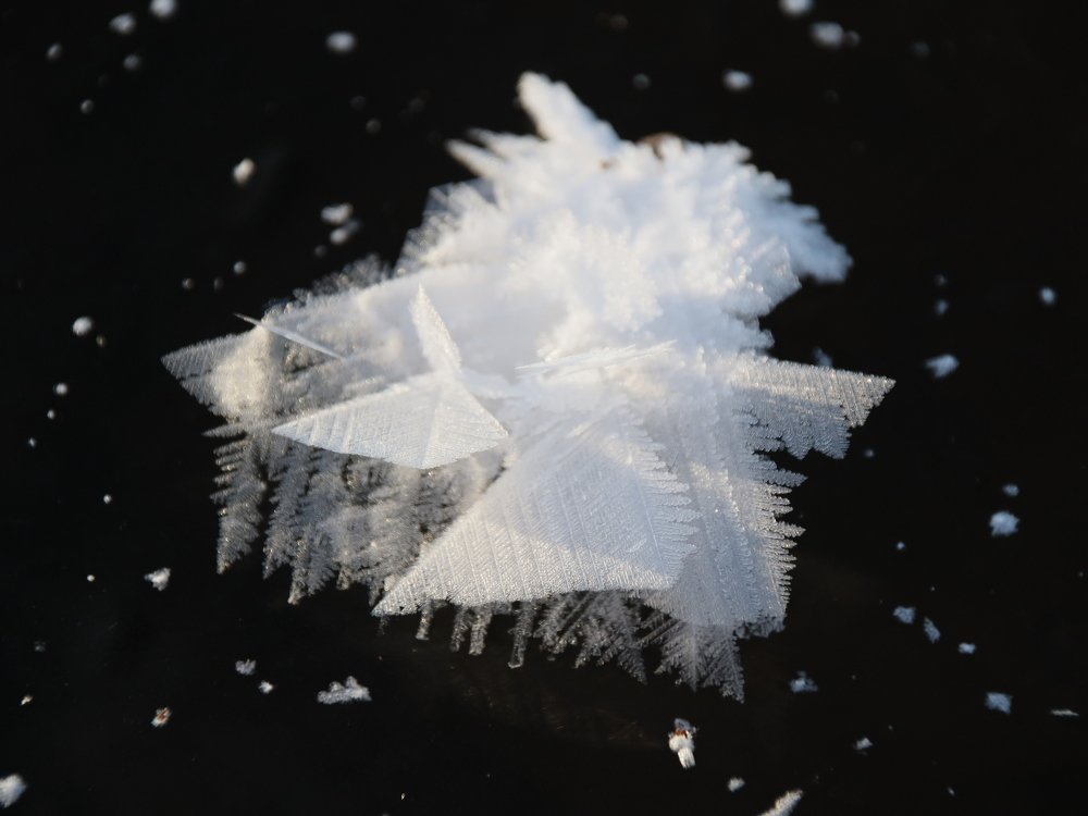 Photograph by Дмитрий Федотов