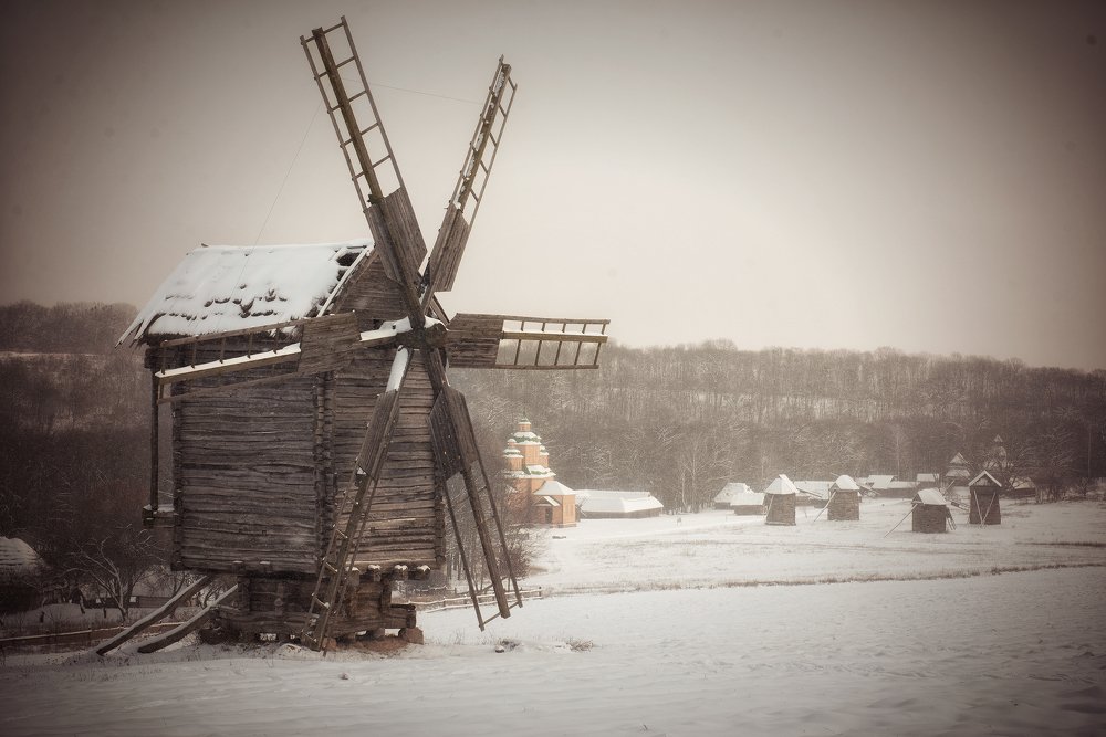 Фотография автора Анна Пикаленко