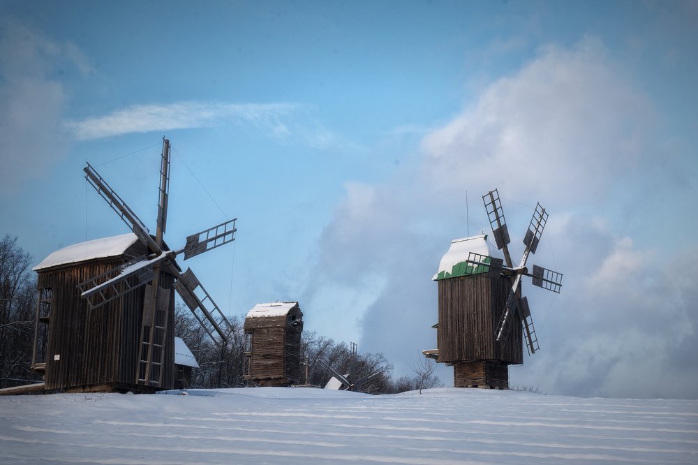 Фотография автора Анна Пикаленко