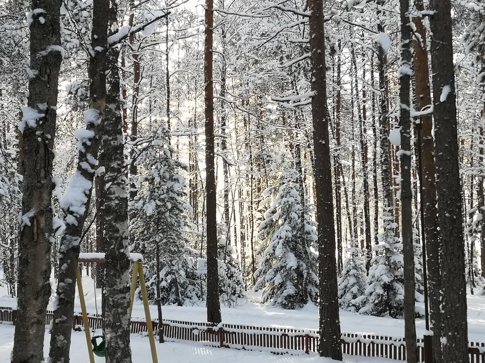 Фотография автора Андрей Антонов