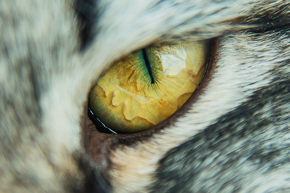 Фотография автора Лейла Матар