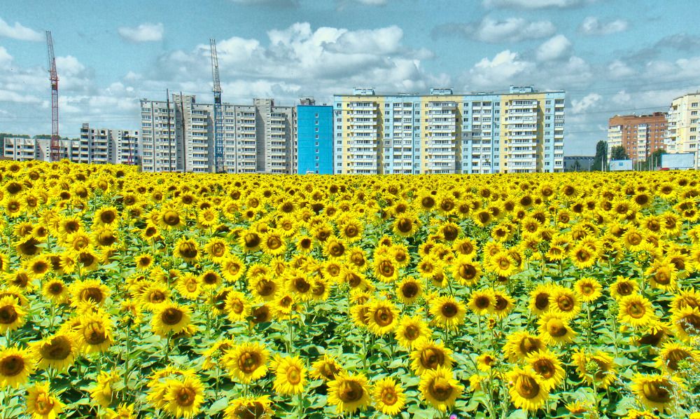 Photograph by Игорь Лотыш