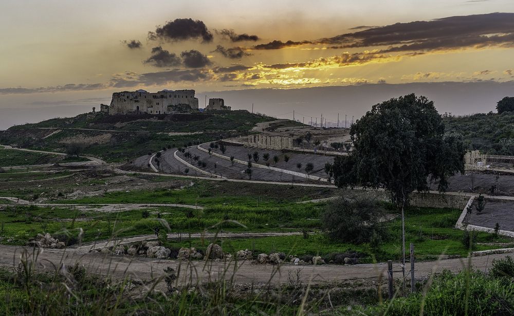 Photograph by YURI GARNAGA