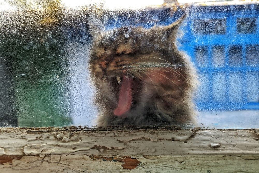 Photograph by Олександр Маслов