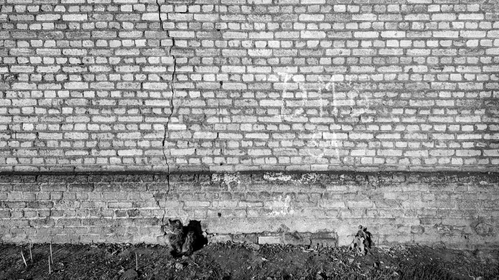 Photograph by Олександр Маслов