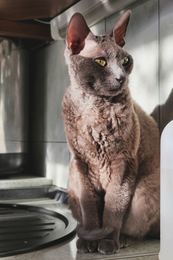 Photograph by Олександр Маслов