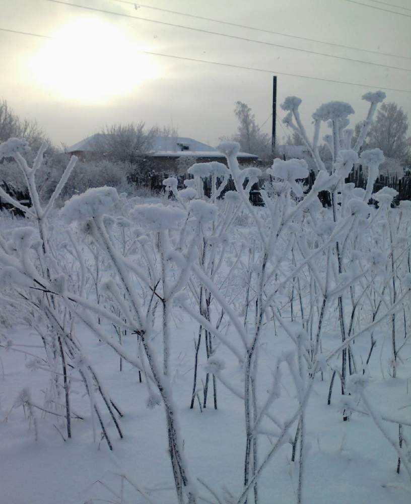 Безмятежность