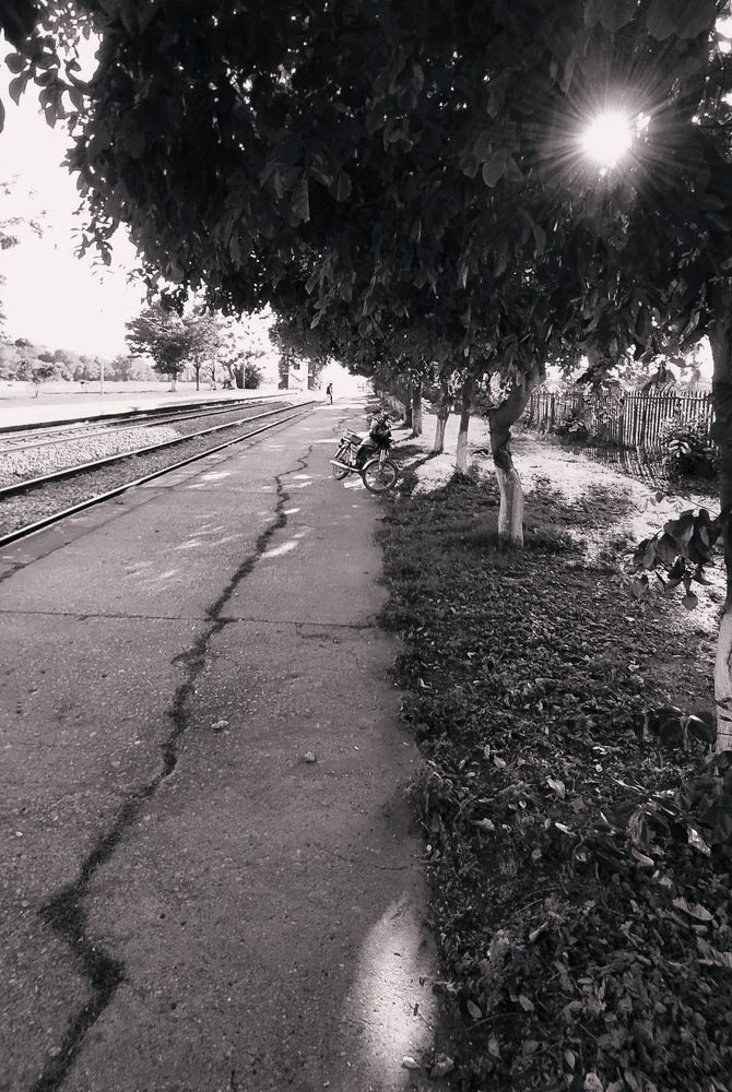 Photograph by ALI SHAH SYED SHAH ZAIB