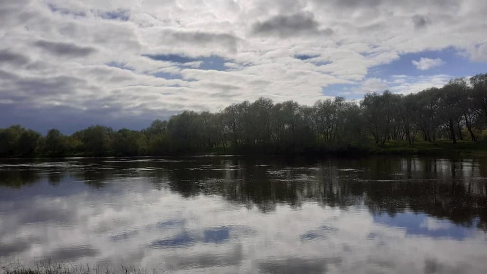 Фотография автора Елена Лещева