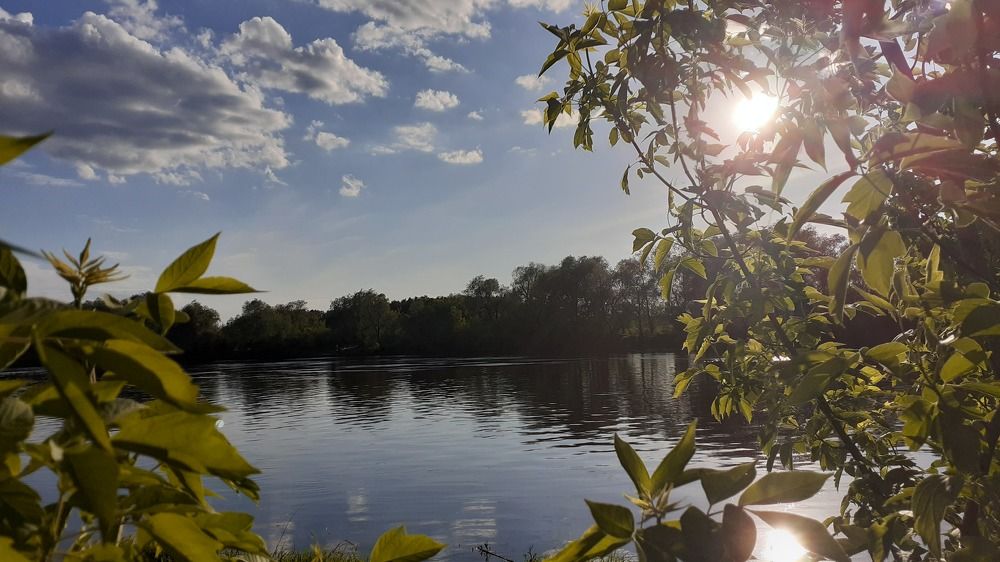 Фотография автора Елена Лещева