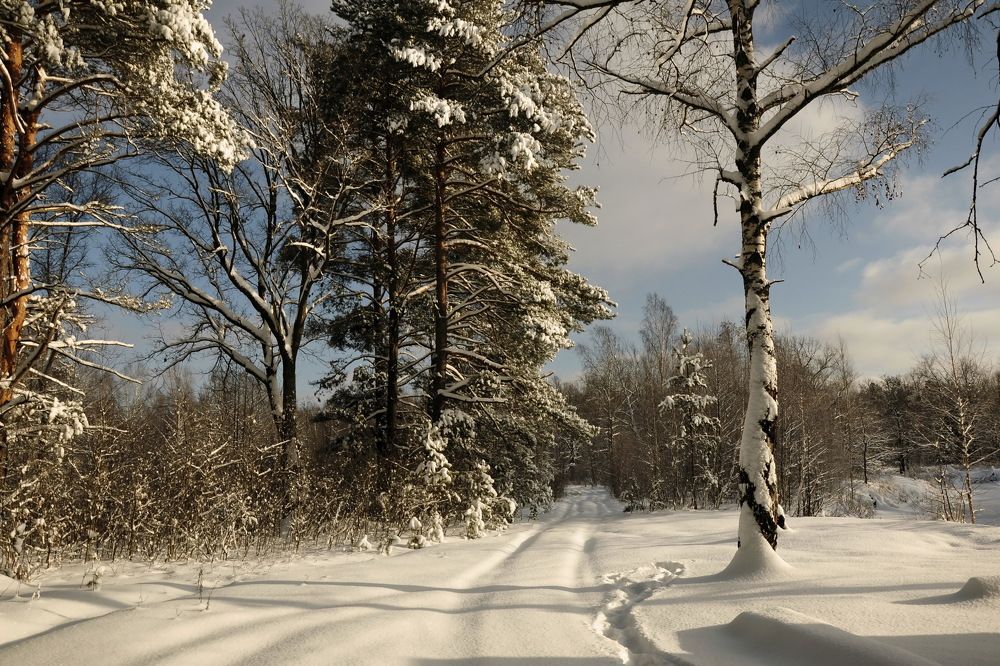 На полянке, сотканной из света...