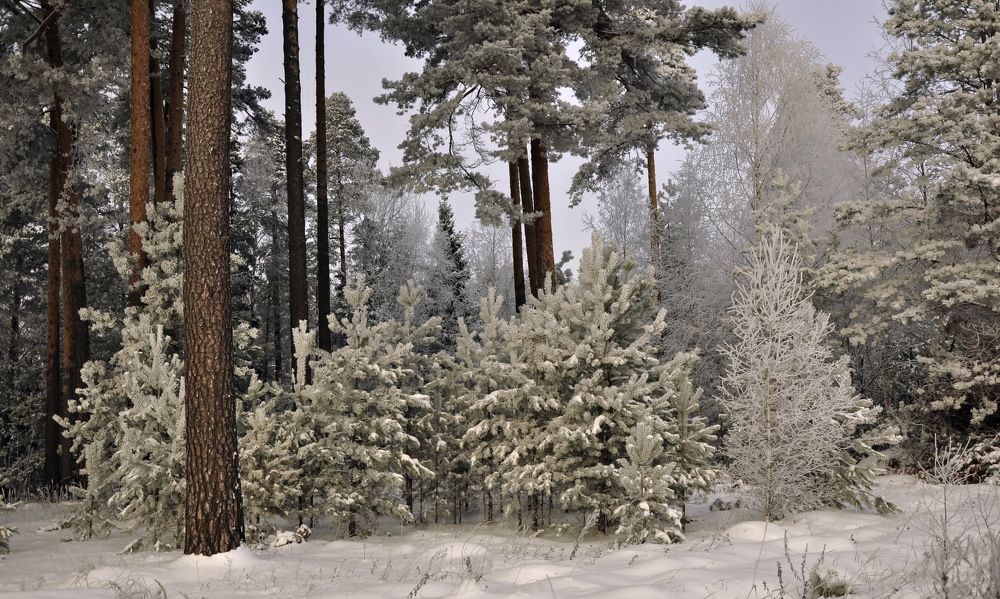 зелёная "стайка"