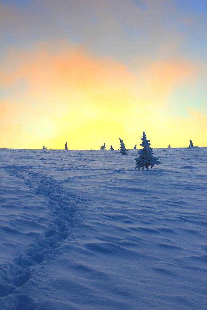 Фотография автора Александра