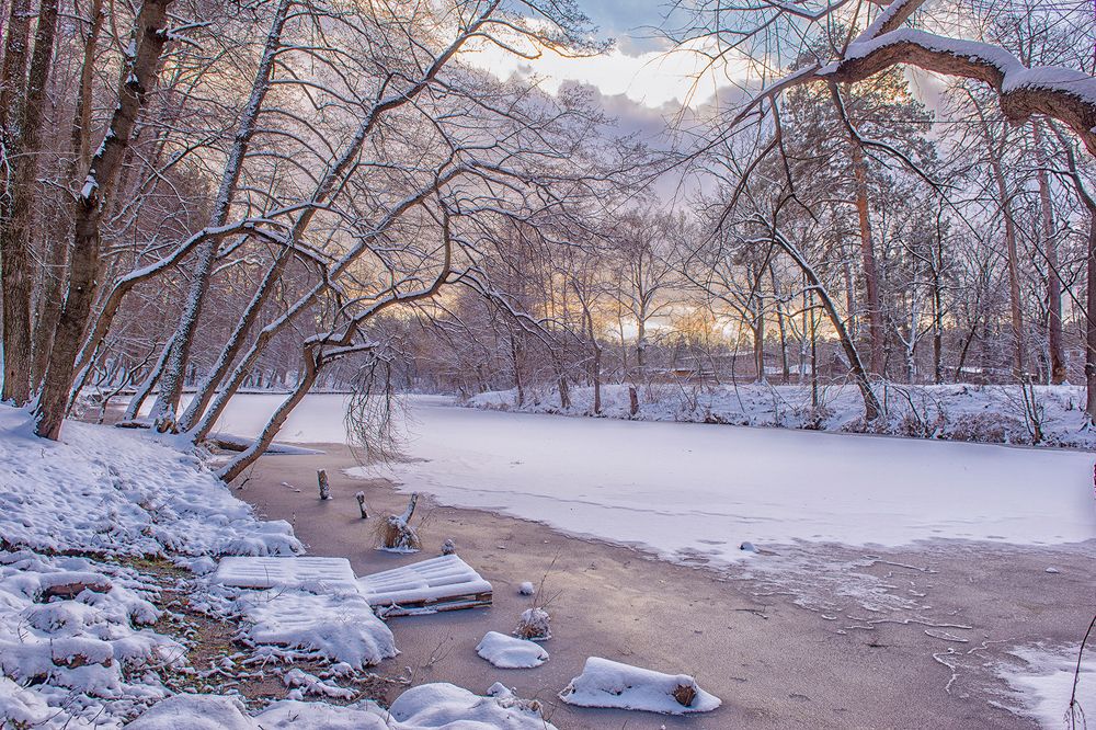 Парк "Пуща-Водица"