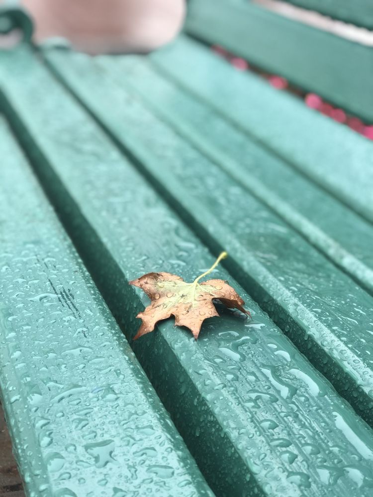 Photograph by Татьяна Тер-Акопова