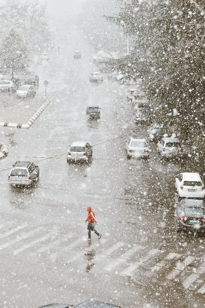 Photograph by Sophio Butskhrikidze