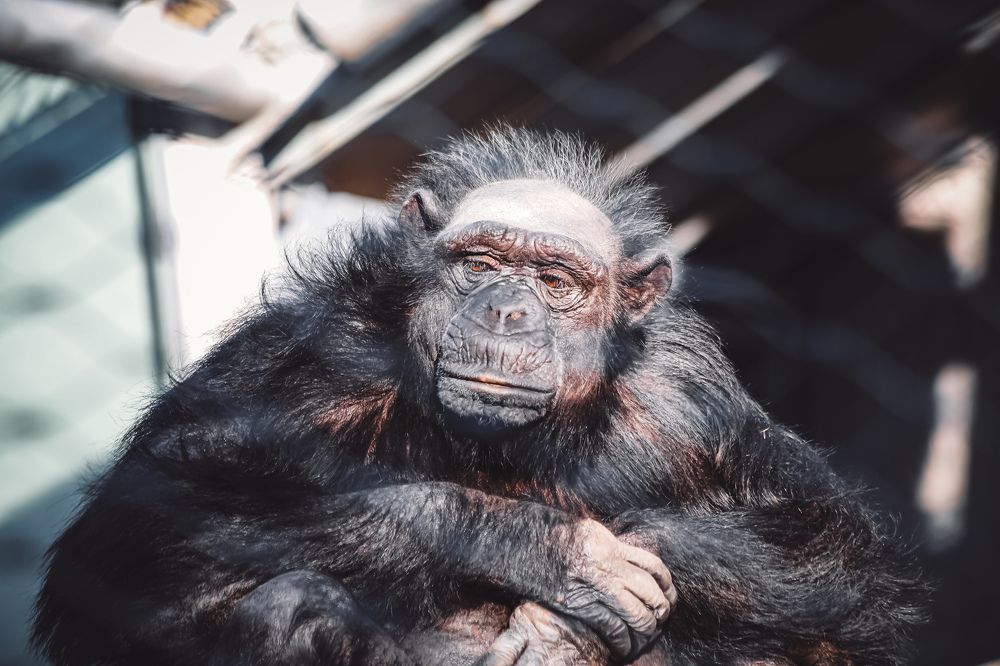 Photograph by Natalia Myrhorodska