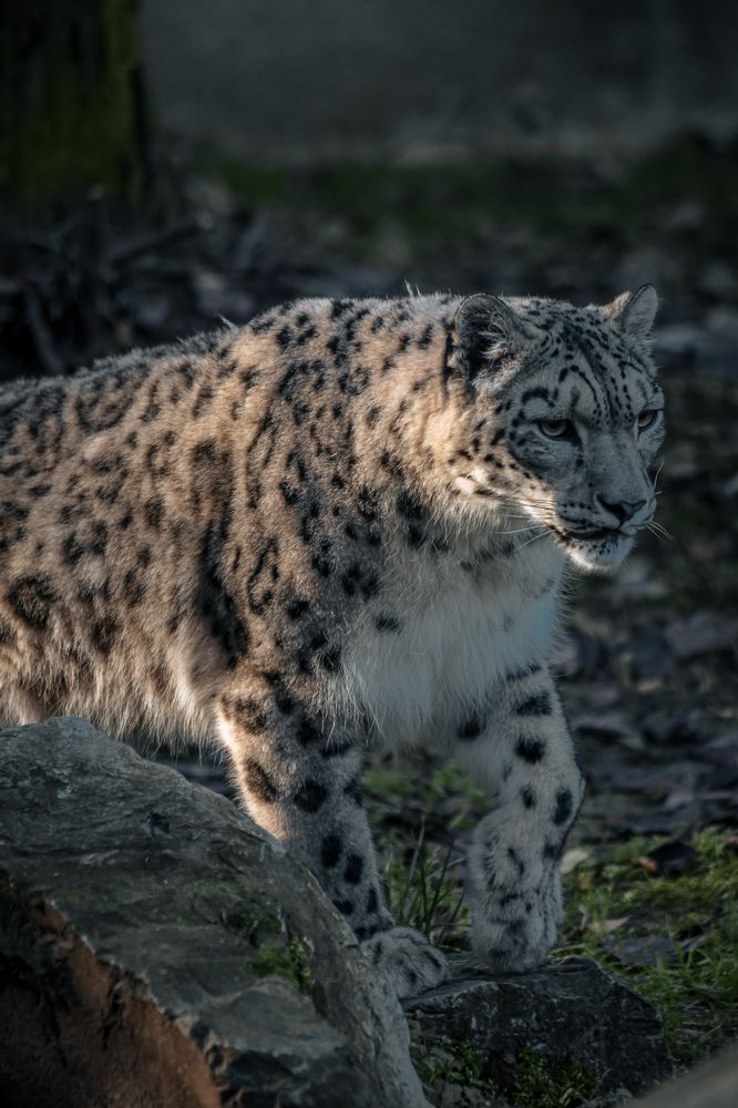 Photograph by Natalia Myrhorodska