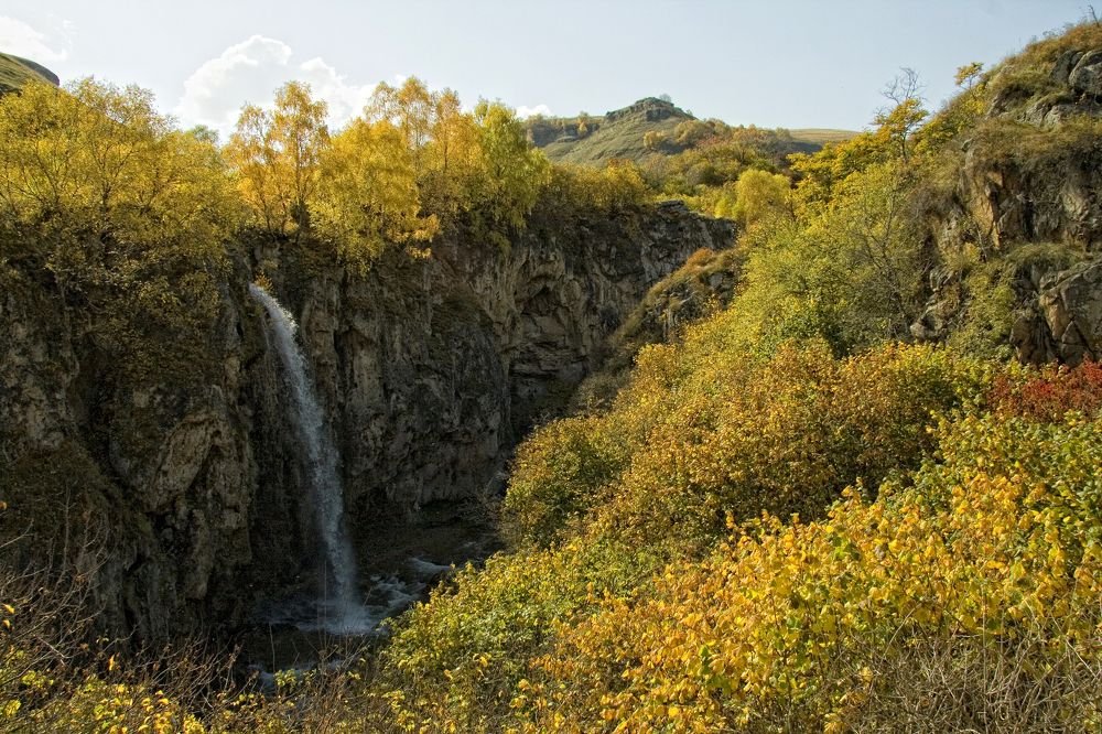 Фотография автора Алексей Пожаренко