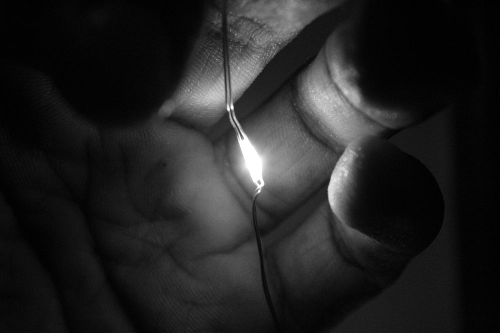 Photograph by RENAN TREVIZAN SANTOS