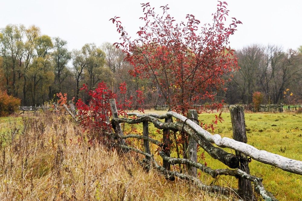 Photograph by Антонина Деркач