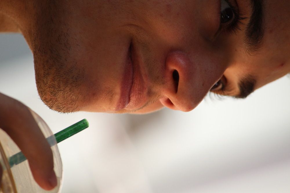 Photograph by RENAN TREVIZAN SANTOS